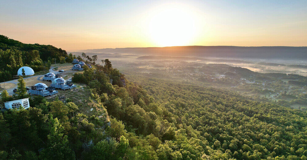 Now Partnering with One Tree Planted; Every Booking Plants a Tree