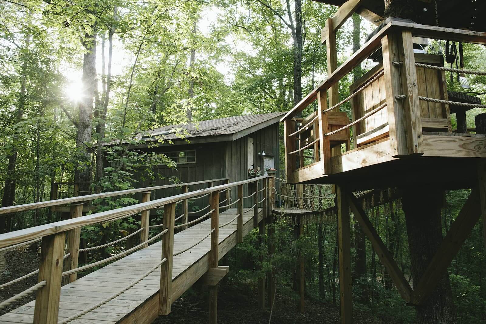 The Majestic Treehouse