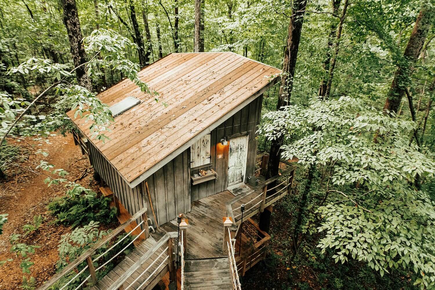 The Majestic Treehouse