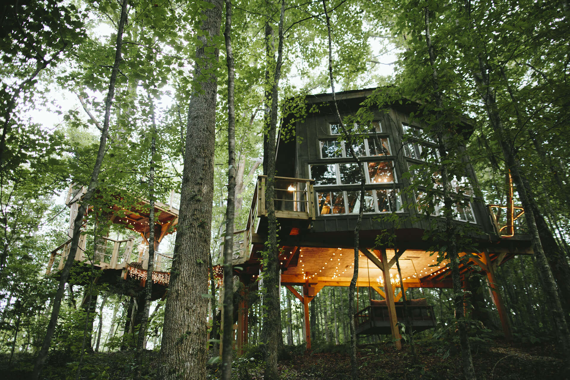 The Majestic Treehouse