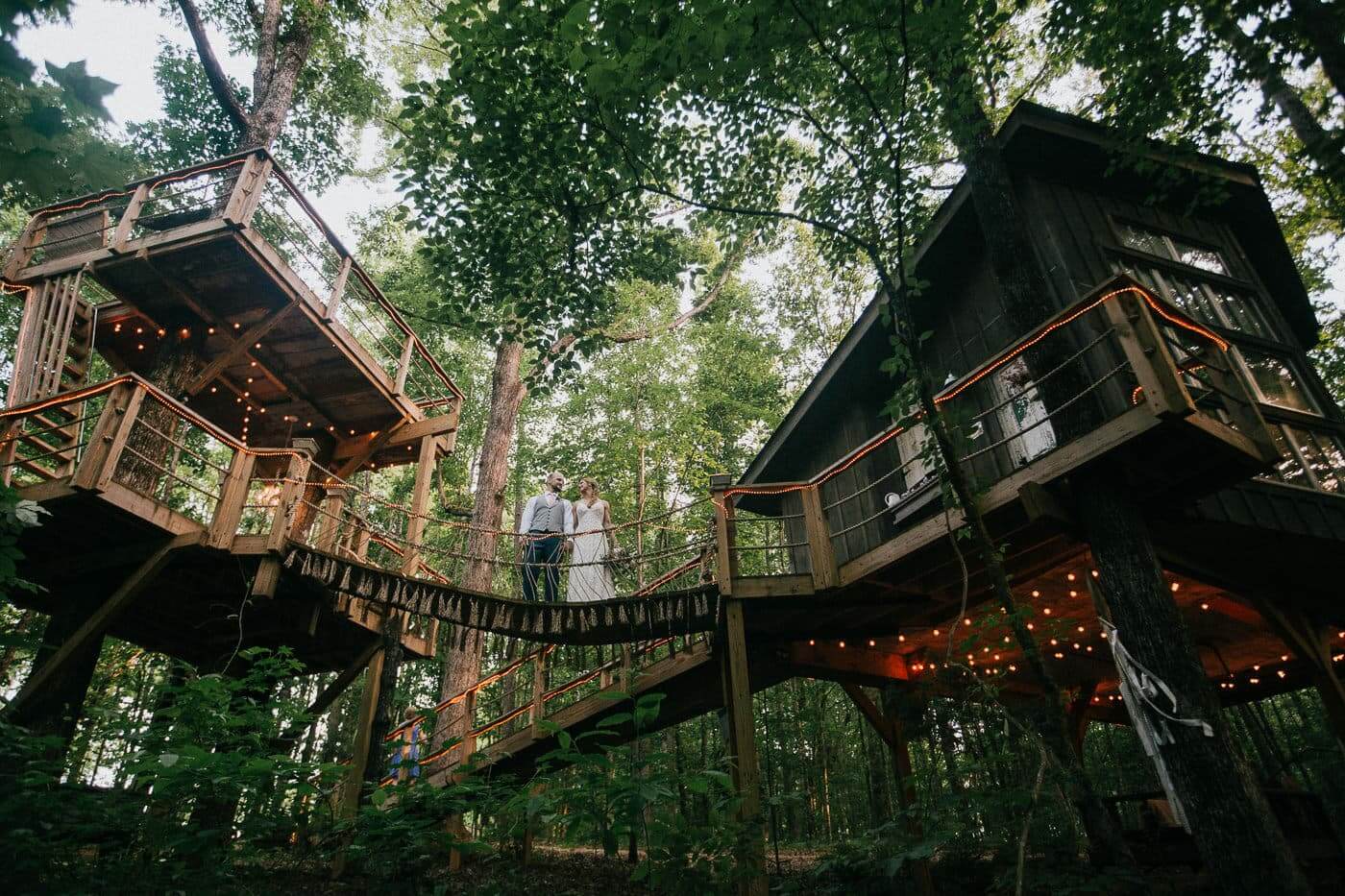 The Majestic Treehouse